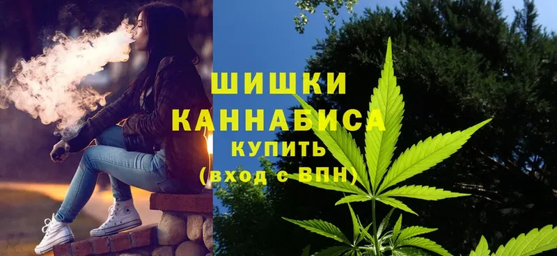 Каннабис OG Kush  Горбатов 